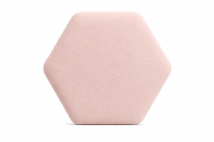 EchoShift Shield